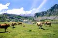 espagne asturies 11